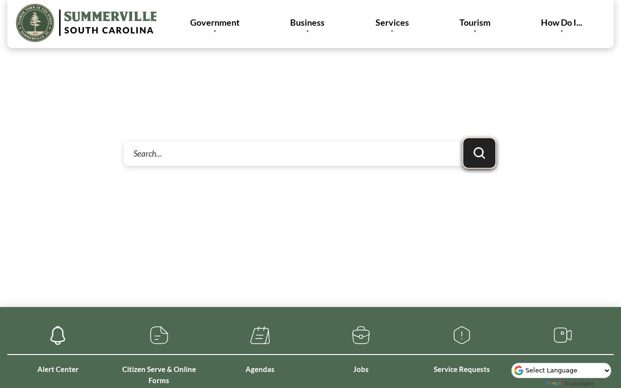 Summerville gateway for Dorchester County criminal record offices